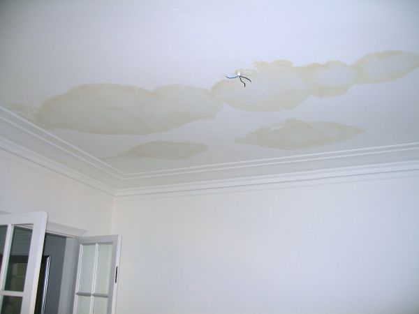 Apartment Ceiling Repair