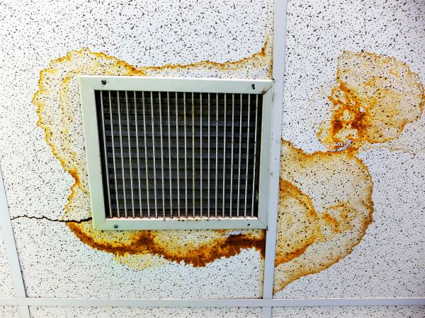 Ceiling Crack Repair